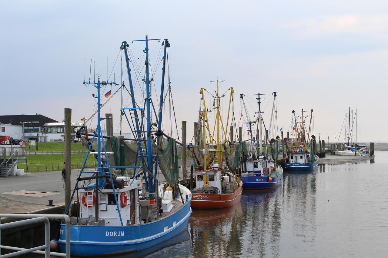 Ferienhaus Vogel - Dorum Neufeld - Nordsee ภายนอก รูปภาพ